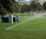 Platinum Sport Series