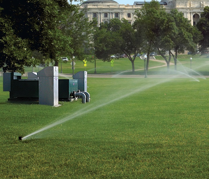 Platinum Sport Series