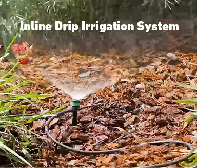 Get familiar with the benefits of drip line irrigation systems and various types of irrigation hoses to suit your garden’s watering needs. 