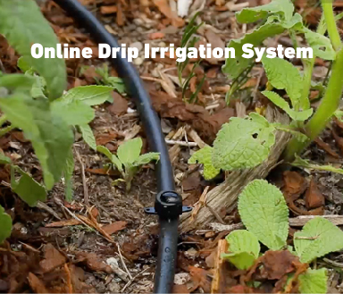 Get familiar with the benefits of drip line irrigation systems and various types of irrigation hoses to suit your garden’s watering needs. 