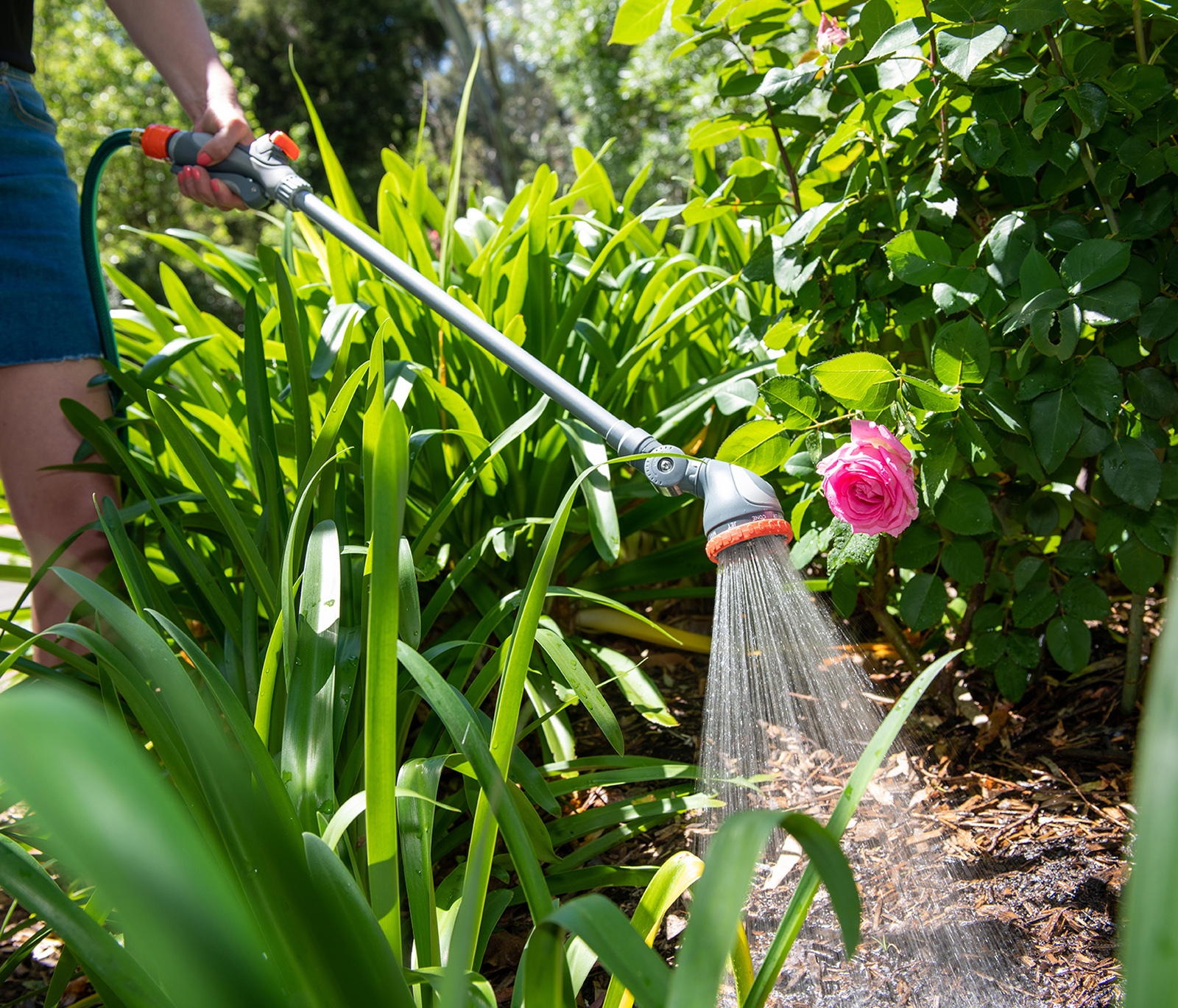 Pope Products the best time in summer to water your garden