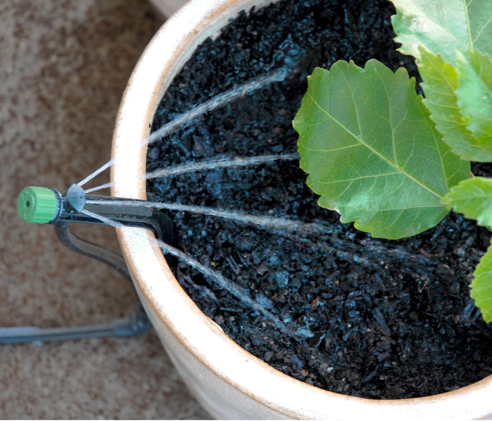 Pope Products potspray