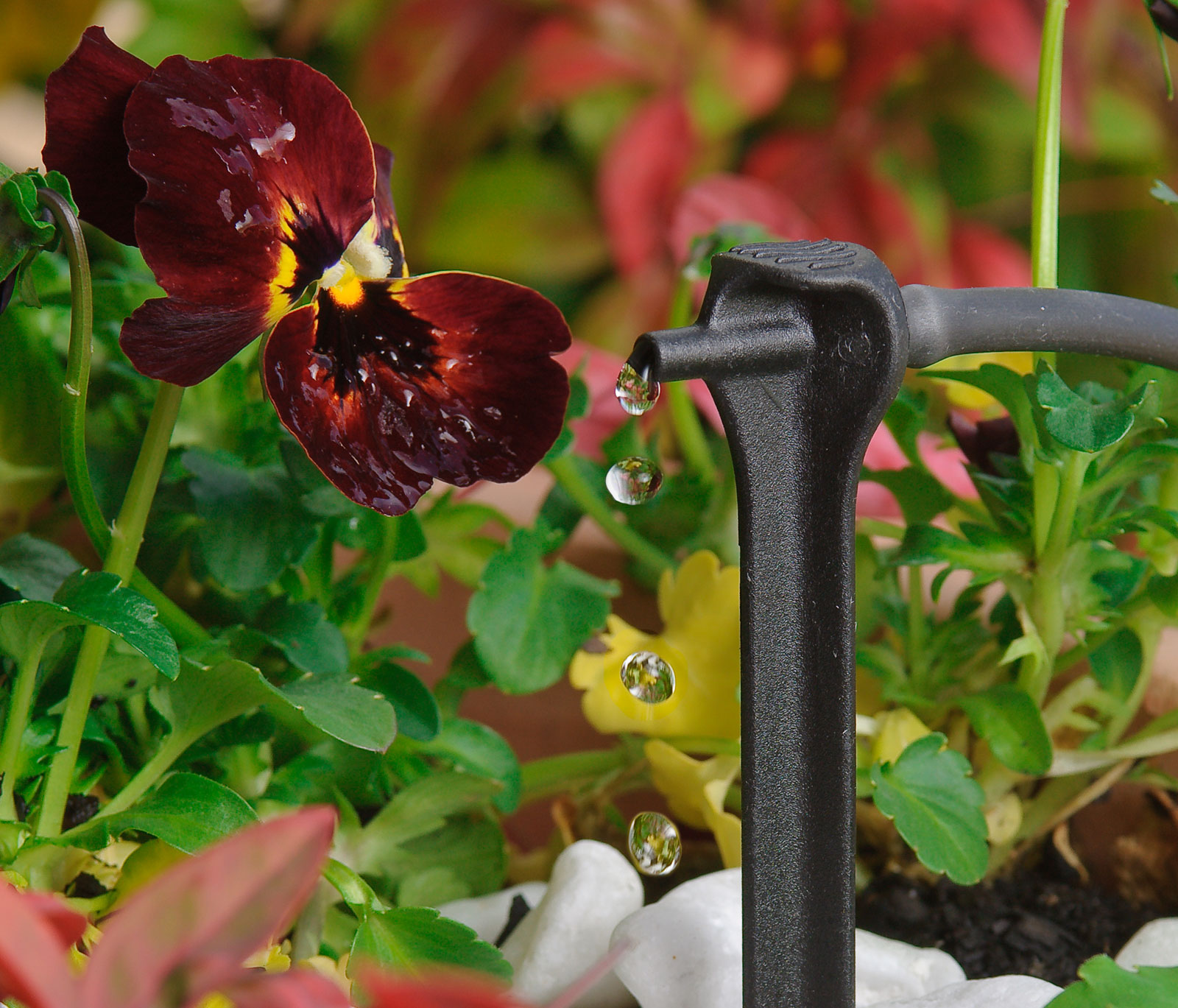 Pope Products PCstakedripper