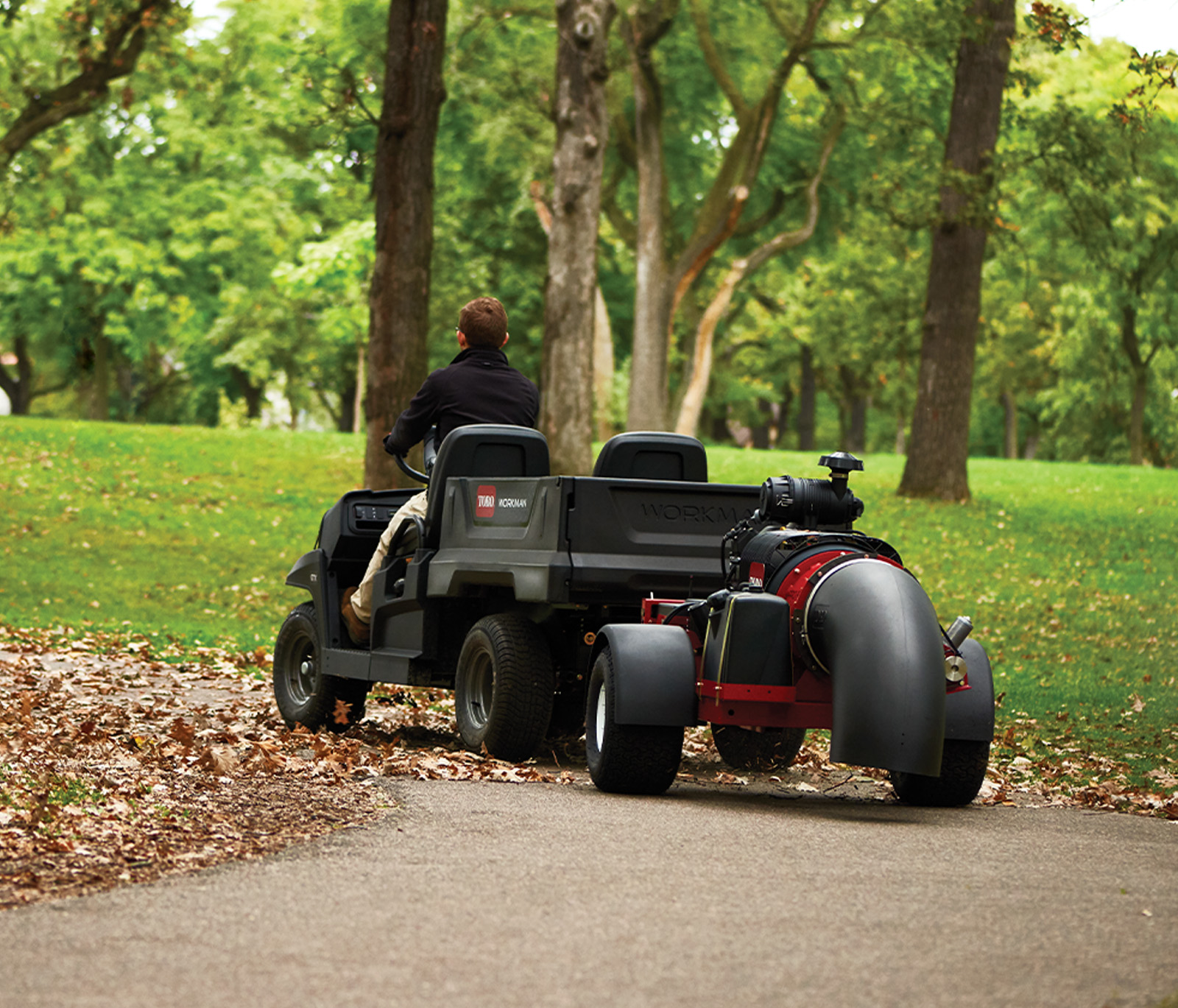 Professional Debris Blowers