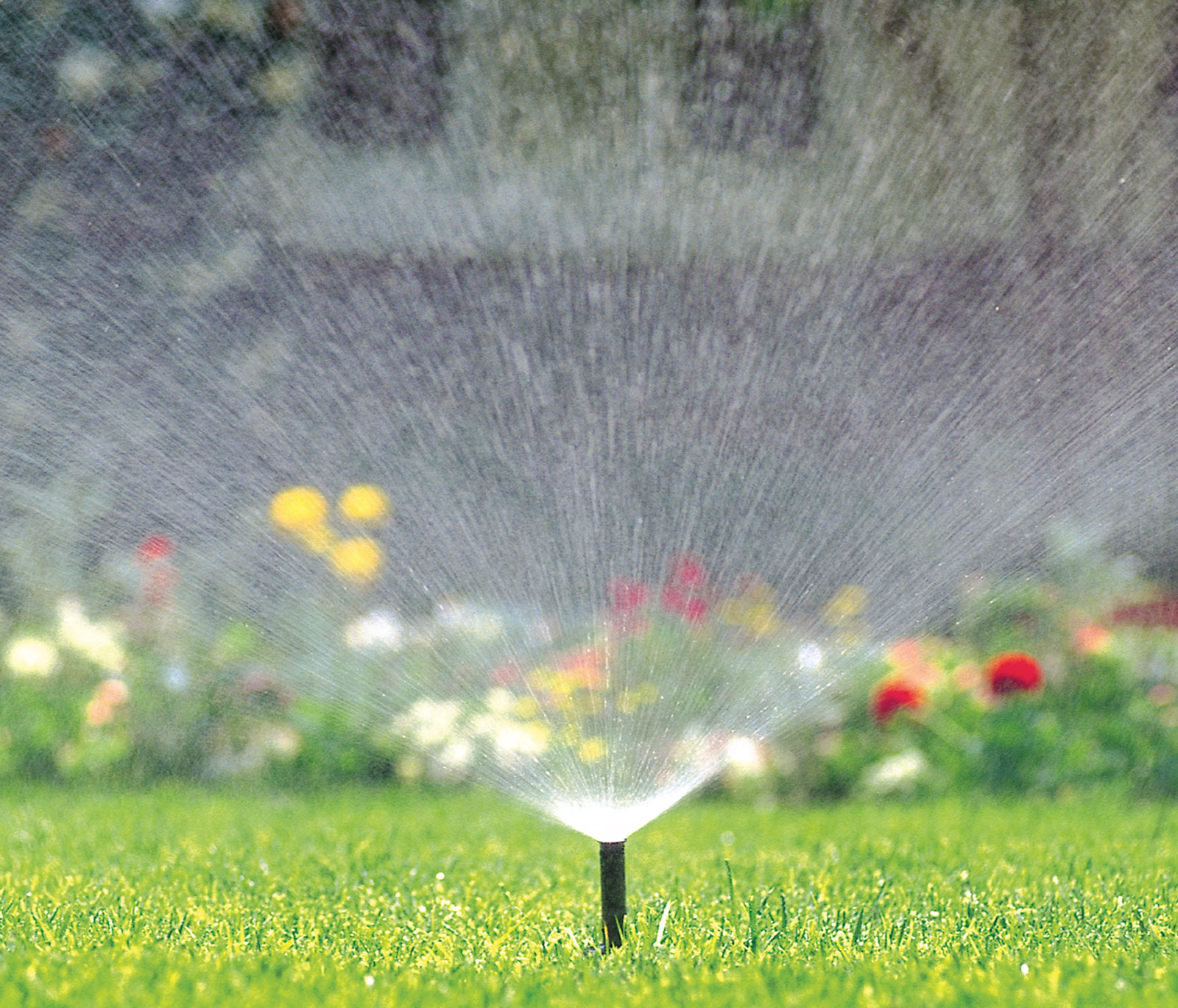 DIY-Irrigation-Spray-Heads
