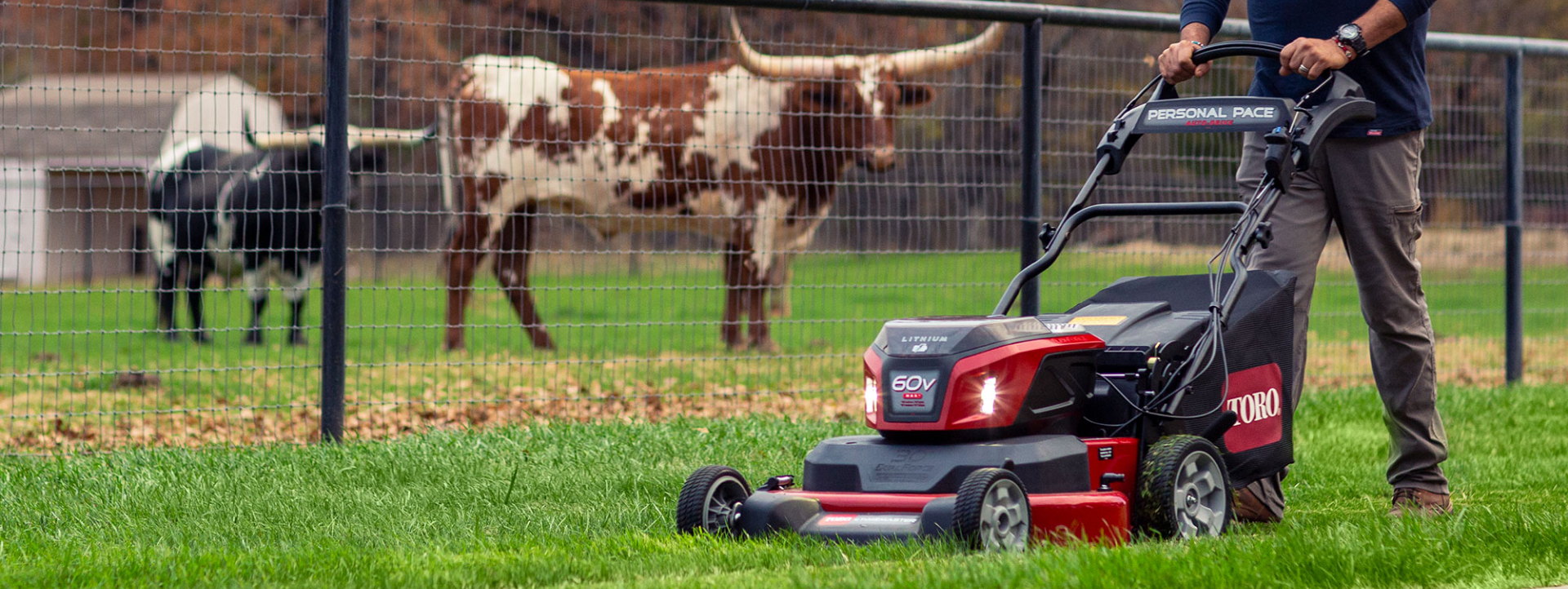 Image of man mowing grass in front of a fence with a cows in the background