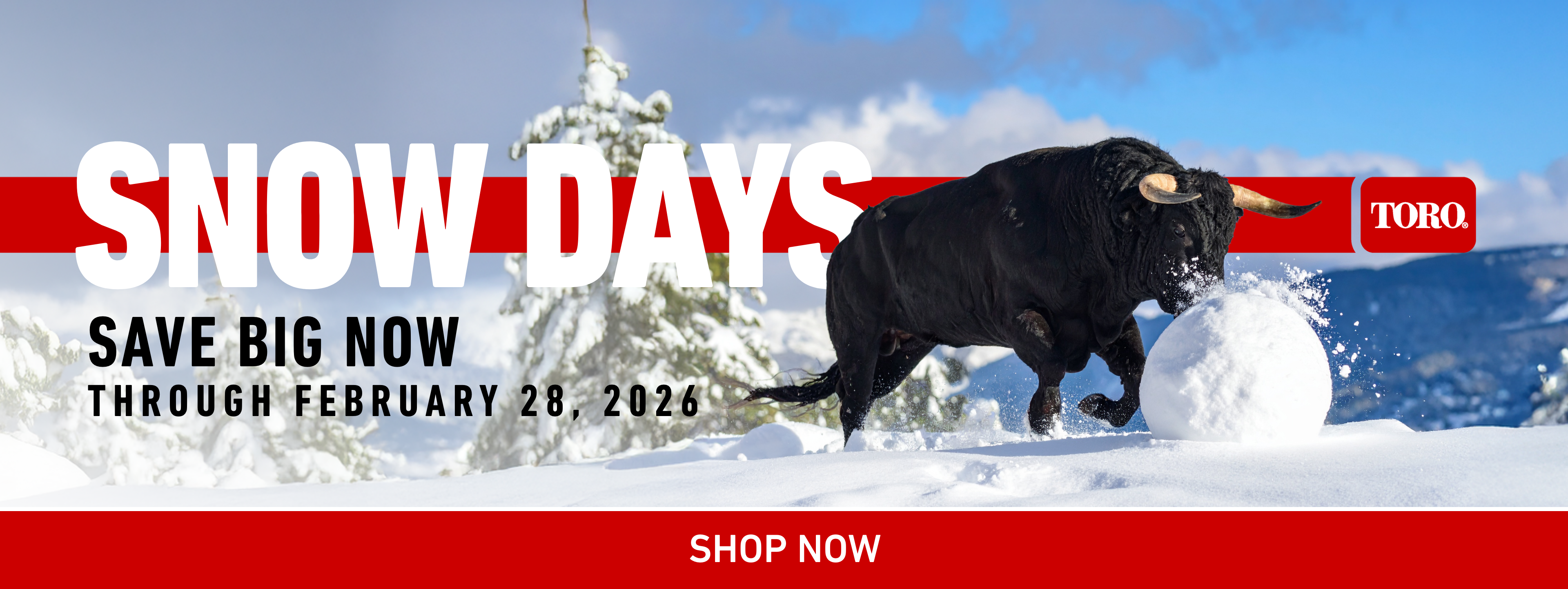 Snow Days save big now through February 28, 2026