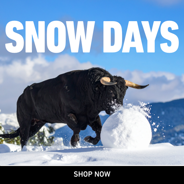 Snow Days save big now through October 31, 2025