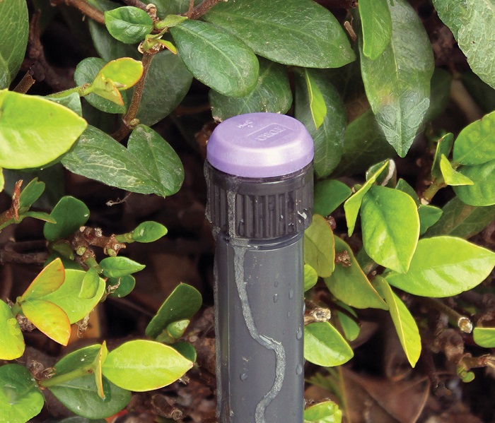 Drip Depot 1/2 Inch Pressure Compensating Drip Line - 0.5 GPH, 9" Emitter Spacing, 100ft Roll For Irrigation