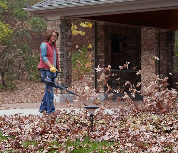 Super Leaf Blower Vacuum Yard Tools Toro