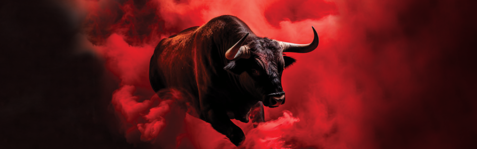 Bull in red smoke