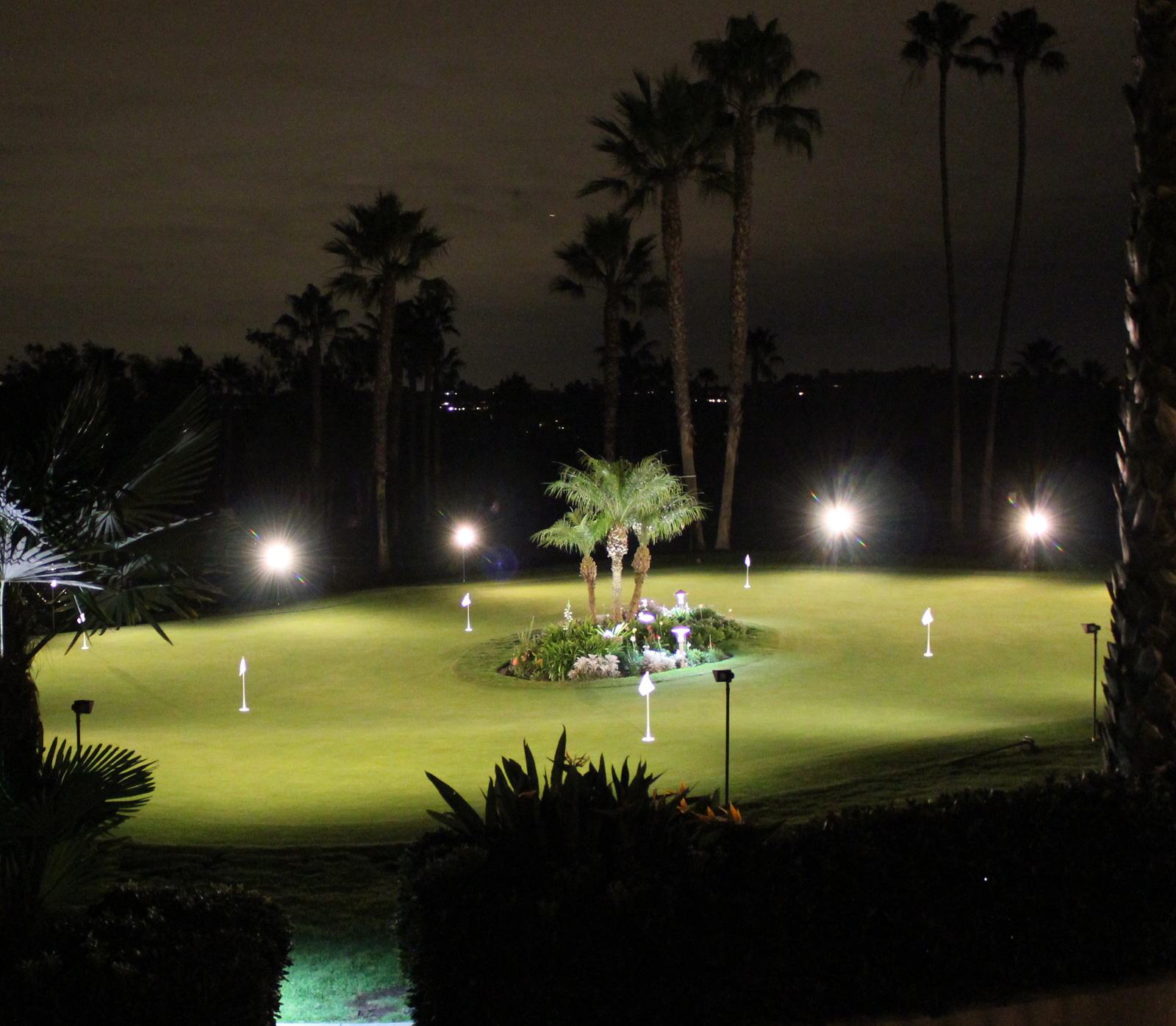 Unique Lighting IllumiGreen