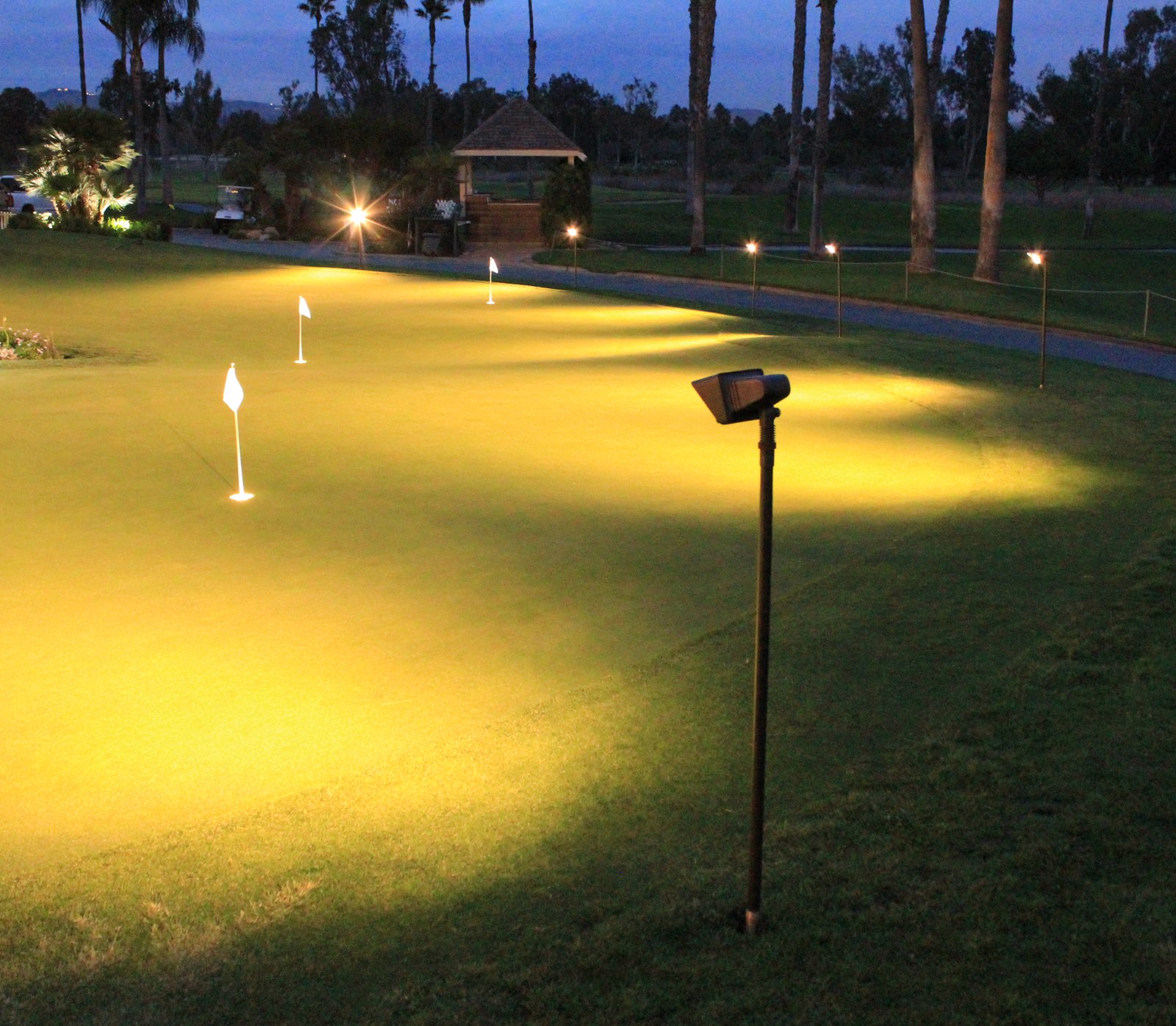 Unique Lighting IllumiGreen