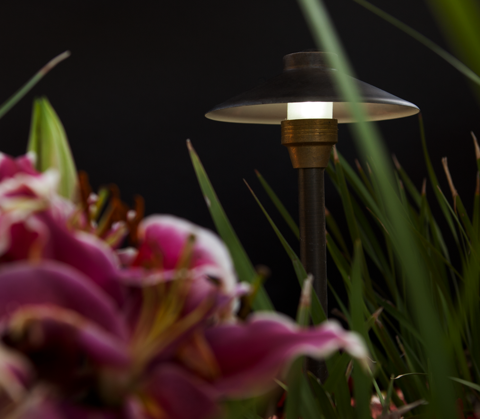 Centaurus 8 application 1