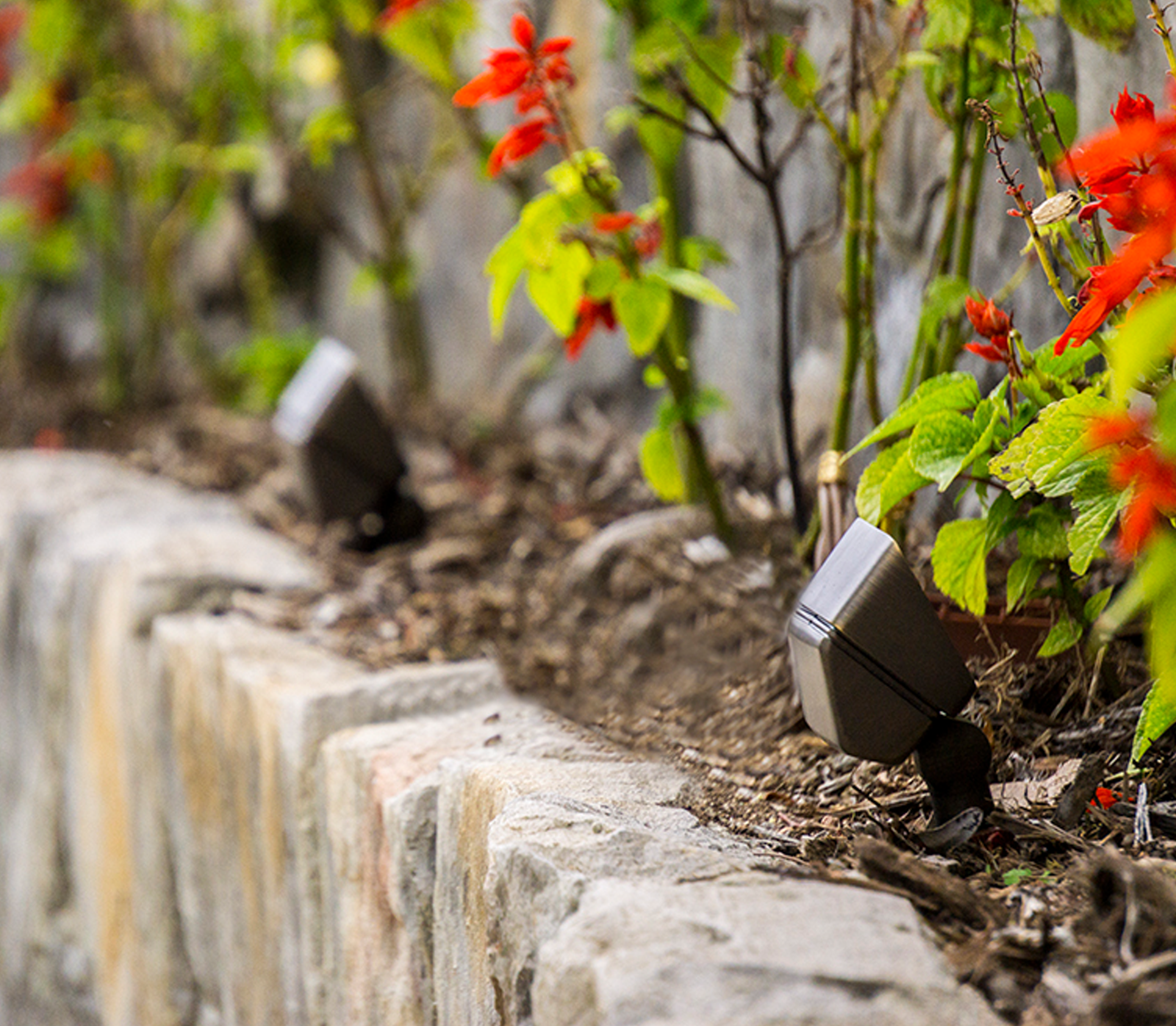 Stellar application 4